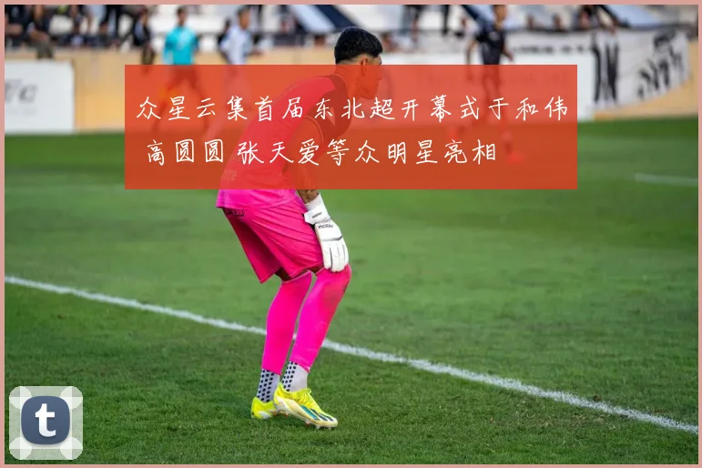 众星云集首届东北超开幕式于和伟 高圆圆 张天爱等众明星亮相